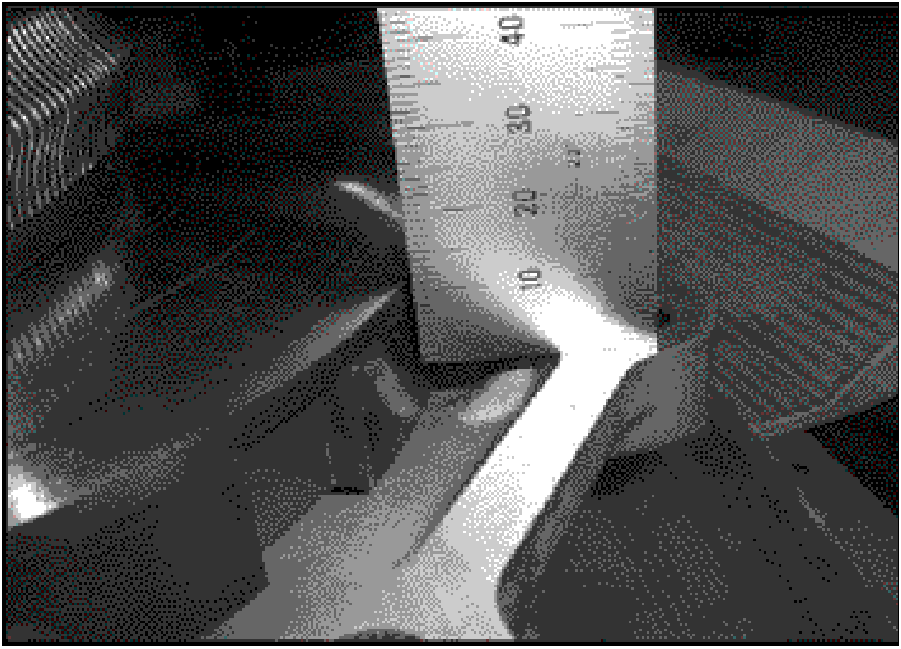 520065657_graphic-text24C